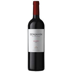 Benjamin Nieto Senetiner Malbec