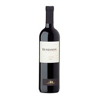 Benjamin Nieto Senetiner Merlot