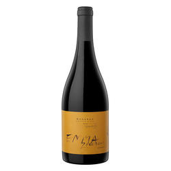 Emma Zuccardi Bonarda